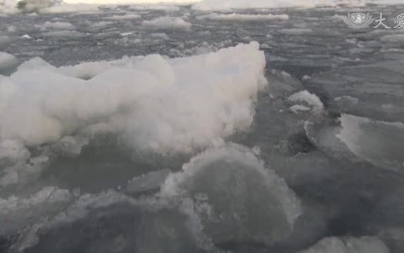 北極熊哭哭... 海冰面積史上最低