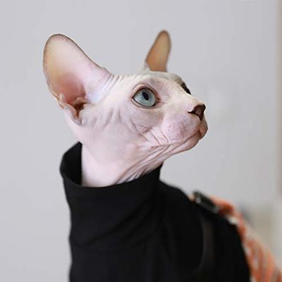 Sphynx Hairless Cat Cotton Tshirts Pet Clothes, Pullover Kitten T-Shirts  with Sleeves, Cats & Small Dogs Apparel Solid Color Black - Yahoo Shopping