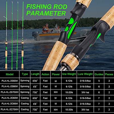 One Bass Fishing Rod, 2-Piece Graphite Spinning Rod & Casting Rod