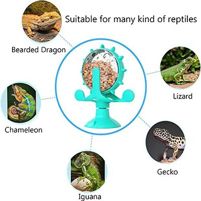 360° Bearded Dragon Toys, Bearded Dragon Enrichment Toys, Dragon Pet Toy,  Reptile Food Toys Ball, Interactive Toys for Lizard Reptile, Tank Decor  Gecko, Bearded Dragon Feeder, Chameleon Feeder. - Yahoo Shopping