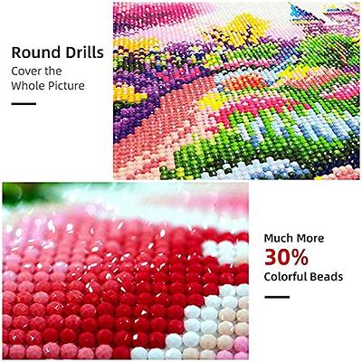 Diamond Painting Kits for Adults Colorful Owl PaintingDIY Round Full Drill  5D Diamond Art for Home Wall Decor 12x16 inches