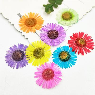 10pcs Dried Pressed Flowers For Resin, Real Pressed Flowers Dry