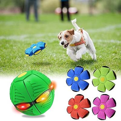 Treebarks Bounce Pop Ball | Tree Barks Bounce Pop Ball | Treebarks Dog Toy  Ball | Doggy Disc Ball for Small Dogs | Ascribei Doggy Disc Ball | Ascribei