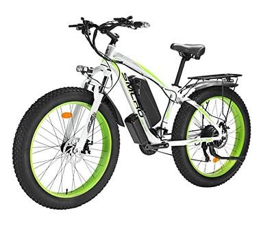 Ronson Electric Bike Adults, 1000W Ebike, 48V/20Ah Removable Battery  Electric Bicycle, 12-Speed Electric Dirt Bike for Adults, 20*4.0 Fat Tire