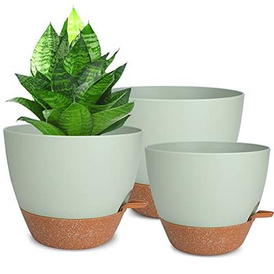 YNNICO 6 inch Plant Pots, 5 Pack Flower Pots Outdoor Indoor, Planters with  Drainage Hole and Tray Saucer