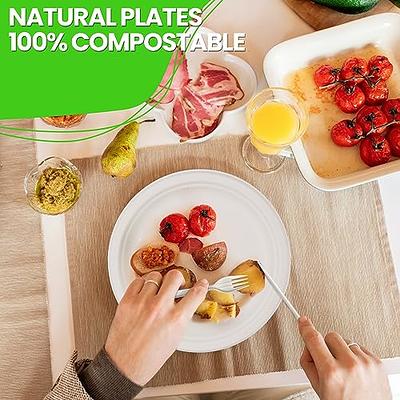 100% Compostable Disposable Paper Plates [125-Pack] - (PFAS-Free