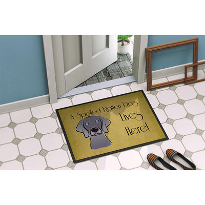 Mainstays Home Sweet Home Coir Doormat, 18 x 30 