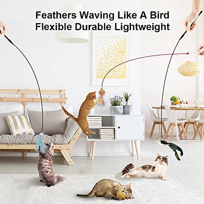 Madgern Cat Toys Wands 6 Pack Interactive Cat Toys for Indoor Cat Toys for  Boredom and Stimulating Natural Bird Feather Indoor Dancing Playing Toy -  Yahoo Shopping