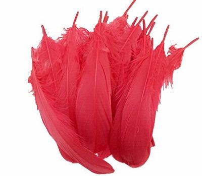 Colorful Goose Feathers, for DIY Craft Wedding Home Party Decorations  50pcs/Pack/ (4-7.8 inch) (red) - Yahoo Shopping