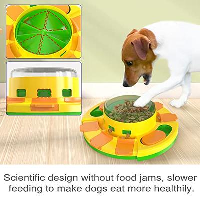 Dog Food Puzzle Toys from Beginner to Expert Level