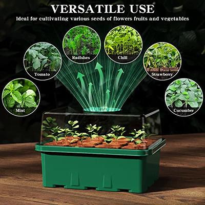 NBPLUS Seed Starter Tray with Grow Light, 5 Pack 60 Cells Seed Starter kit  with Humidity Dome and Base, Plant Seedling Trays Indoor Greenhouse  Gardening Germination kit - Yahoo Shopping