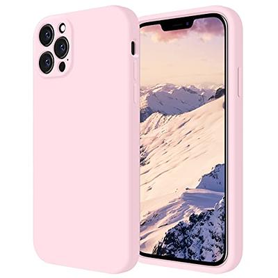 Funda Silicone case iPhone 11 Pro Max - COELECTRON