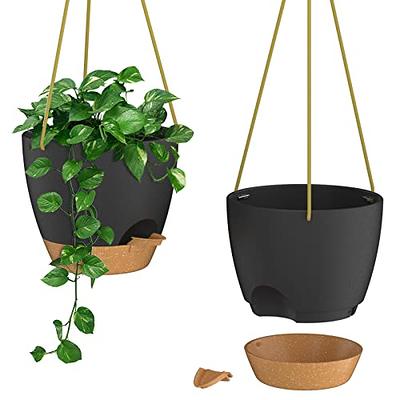 Hanging Wall Planter with Drainage Cup Self Watering - Yahoo Shopping
