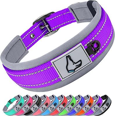 Coastal Pet Metal Buckle Nylon Personalized Dog Collar in Bright Pink, 1 Width