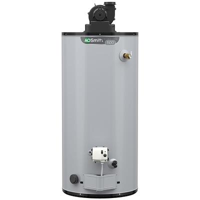 A.O. Smith Signature 100 30-Gallon Short 6-year Warranty 4500-Watt