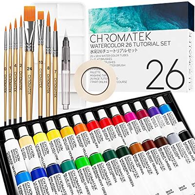 15 PC WATERCOLORS PAINT SET 12 ml Tubes + Mixing Palette + Artist Brushes