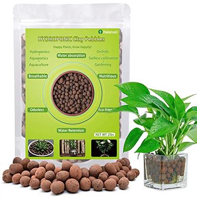 Bonsai Tree Soil All Purpose Blend - CZ Grain Brand 100% Organic All  Natural Great for Fast Growing Bonsai Trees (2 Quarts = One 11 Inch Bonsai  Pot)