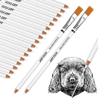 Fulmoon 24 Pcs Eraser Pencils, Eraser Pencils with Brush Art Writing  Instrument Pencil Brush Eraser for Artists Beginner Eraser Pencils for Sketching  Charcoal Drawings Highlight Painting - Yahoo Shopping