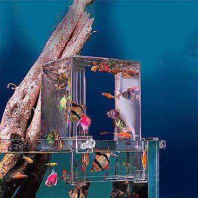 TREELF Complete Set of Negative Pressure Fish Tank Floating Betta Fish Tank  Mini Suspended Fish Bowl Ecological Aquarium with Landscaping and Decoration  for Small Space Living Room or Desktop - Yahoo Shopping