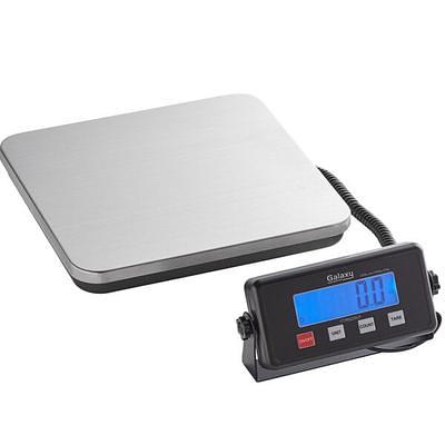 AvaWeigh 220 lb. Industrial Hanging Scale