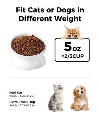 Ceramic Tilted Raised Cat Food and Water Bowl Set, Elevated Stress Free Feeding  Pet Bowl Dish for Cats and Small Dogs, Protect Cat's Spine, White & Grey,  Set of 2 - Yahoo Shopping