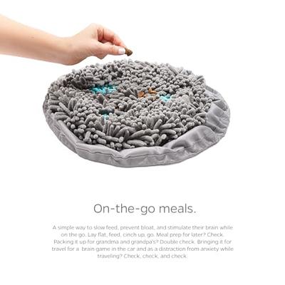 Pet Parents Forager Snuffle Mat & Slow Feeder Dog Bowl, Grey