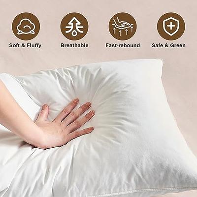 Sleep Restoration Bed Pillows for Sleeping - Soft, Cooling, Luxury Pillow  for Back, Stomach or Side Sleepers (2-pack, Queen)