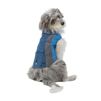 dog coats petsmart