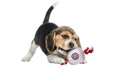 Chicago Cubs MLB Baseball Rope Dog Toy