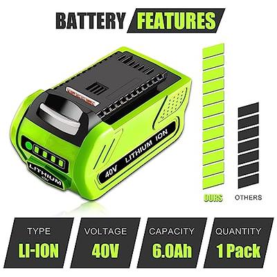 6000mAh 40 Volt Max Lithium Battery Replacement for Black and