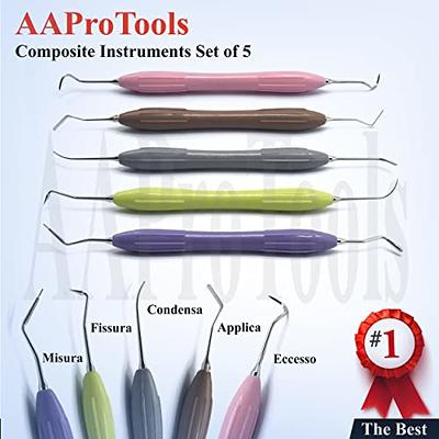 Dental Hygienists Instruments Tool kit 10 PC's with Sterilization Cassette  Prophylaxis Teeth Cleaning Set Artman Instruments