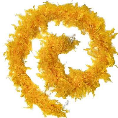  WXJ13 10 Pack 6.6ft Colorful Feather Boas, Natural Turkey  Feathers Women Girls Dress Up Boa Craft Wedding Party Dress Up Halloween  Costume Decoration Stage Performances Photo Shoot : Clothing, Shoes 