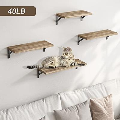 YGEOMER Floating Shelves, Rustic Wood Shelves, 4 Sets of Wall Mounted Shelf  for Bathroom Decor, Bedroom, Living Room and Plants (Carbonized Black)