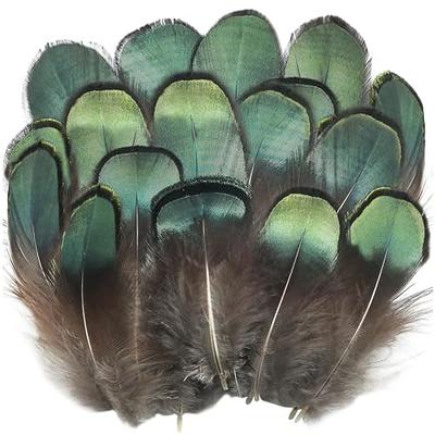 100pcs Brown Goose Feathers 6-8 inch for Crafts Wedding Party Decorations Clothing Hats Accessories Dream Catchers Making