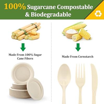 BIRCHIO 250 Piece Biodegradable Paper Plates Set (EXTRA LONG UTENSILS),  Disposable Dinnerware Set, Eco Friendly Compostable Plates & Utensil  include