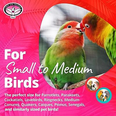  Bird Perches Cage Toys Bird Wooden Play Gyms Stands with  Climbing Ladder, Parrot Play Stand and Bird Swing Conure for Green Cheeks,  Baby Lovebird, Chinchilla, Hamster, Bird Cage Chewing Toys