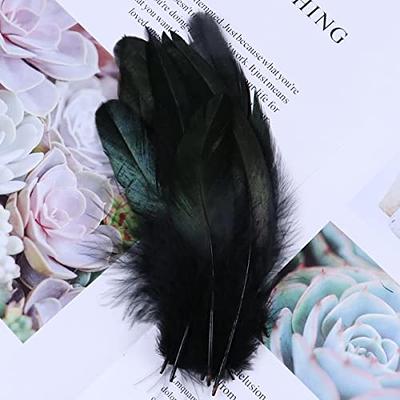 50pcs/Pack Black Rooster Feathers Dyed Colorful Natural Pheasant Plumes  15-20cm/6-8 inch Costume Party Decor Feathers for Craft-Black,15-20 cm -  Yahoo Shopping