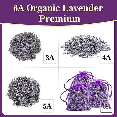 French Lavender Sachets for Drawers and Closets Fresh Scents, Home Fragrance Sachet, Pack of 24, Purple