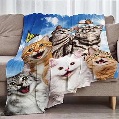 ASHLEIGH Throw Blanket 50x60 Inches Gray Angry Persian Cat Face Cartoon  Domestic Feline Funny Furry Gloomy Warm Flannel Soft Blanket for Couch Sofa  Bed 