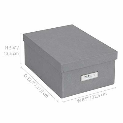 Bigso Karin Collapsible Storage Box