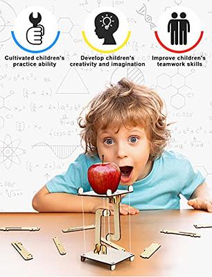 6 in 1 STEM Projects for Kids Ages 8-12, 3D Wooden Puzzle Model