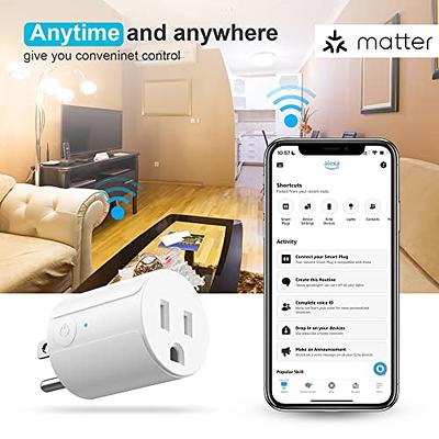 Matter 2.4G WiFi Smart Plug, 15A, Work with Apple HomeKit, Smart Socket  with Voice Control, Work with Alexa, Google, Apple Homekit and Smartthings