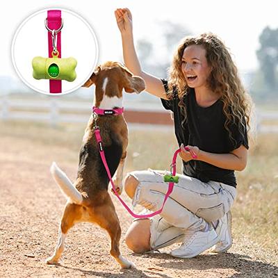  PetSafe Nylon Dog Leash - Strong, Durable