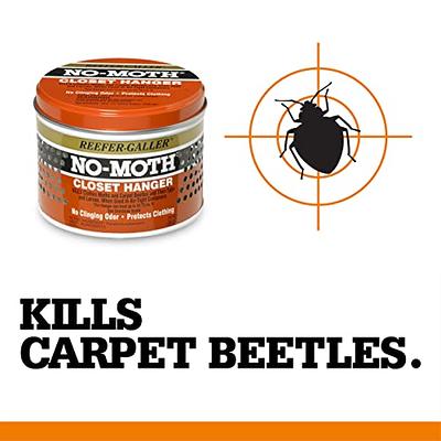 Clothes Moths and Carpet Beetles