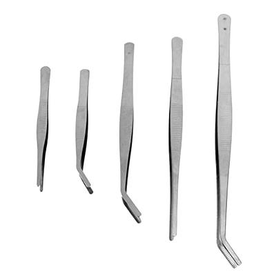 NOLITOY 5pcs Gardening Tweezers Professional Tweezers Eyelash Tweezers  Precision Tweezers Jewelry Tweezers Stainless Steel Tweezers Succulent  Gardening Tool Small Planting Tweezers Cricket - Yahoo Shopping