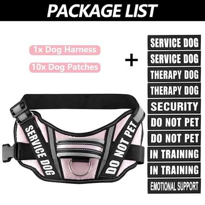 Service Dog Vest Harness and Leash Set, Animire in Training Dog Harness  with 8 Dog Patches, Reflective Dog Leash with Soft Padded Handle for Small,  Medium, Large, and Extra-Large Dogs (Blue,M) 