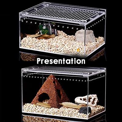 Pet Supplies Insects Reptile Terrarium Box Thermometers Spider