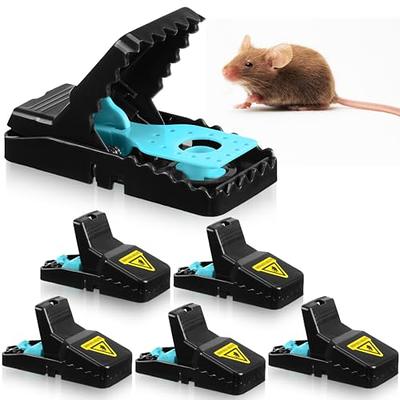 Tomcat Press 'N Set Mouse Trap, Plastic, Spring-Loaded Mouse Killer with  Grab-Tab, 2 Traps