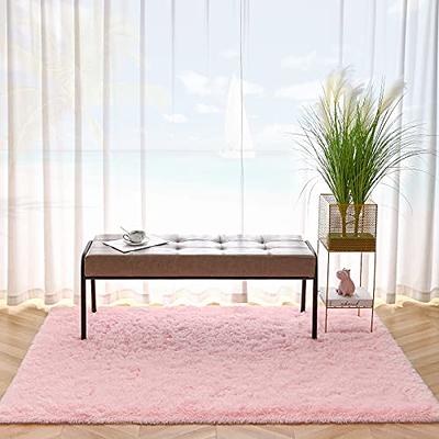 Kimicole Baby Pink Area Rug for Bedroom Living Room Carpet Home Decor,  Upgraded 4x5.9 Cute