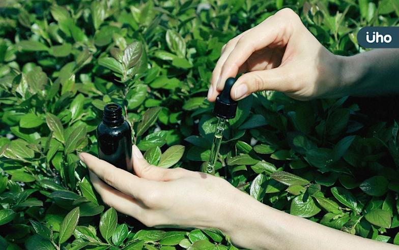 植物香氣安定心神！專家推薦5款助眠精油：薰衣草舒心、桔葉助眠